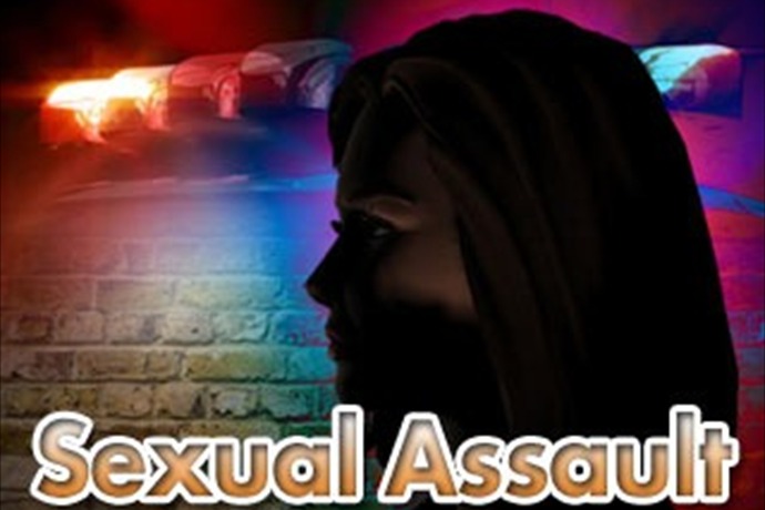 Sexual Assault Logo_134619633760160217