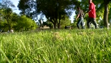 Grass mowing_1463088899588.jpg