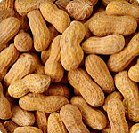 Peanut Protein in Dust May Raise Allergy Risk _20160108114201-159532