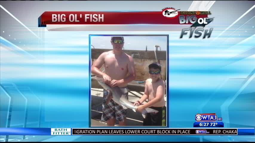 6-23-16 - Big Ol- Fish_20160624040020