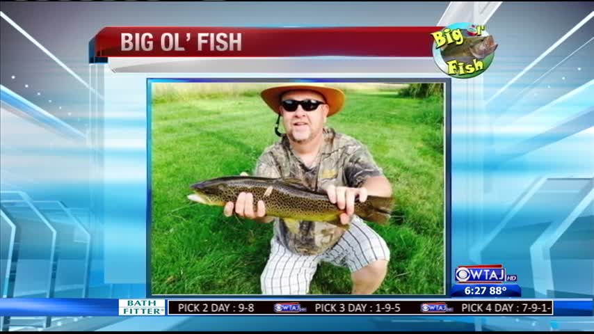 7-14-16 - Big Ol Fish_20160715040003