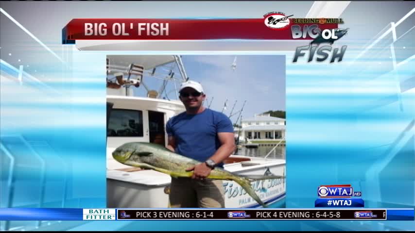 7-7-16 - Big Ol- Fish_20160708044506