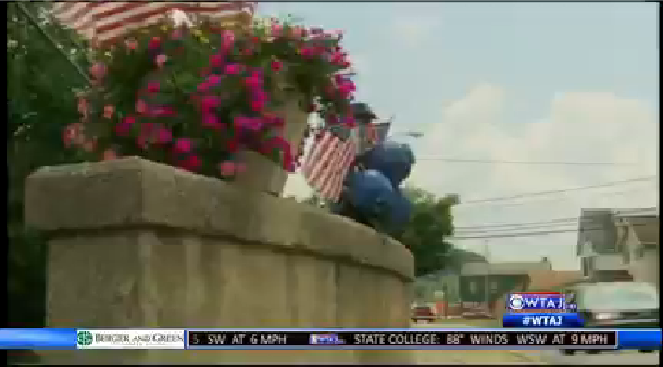 reynoldsville blueberry festival 0