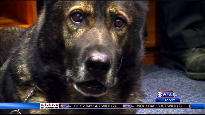 Police K9 Retires And Replacement Named_32890052-159532