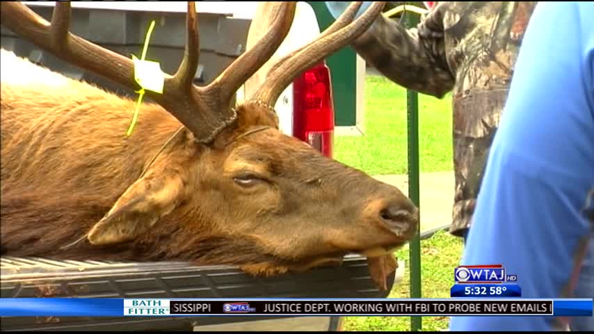 Hunters Try To Shoot 100- Elk_79631912-159532