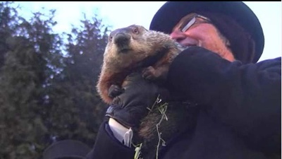 Punxsutawney-Phil-on-Groundhog-Day-jpg_20160208201747-159532