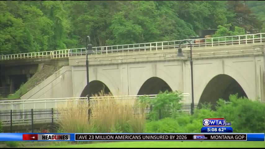 Johnstown Ethnic Celebration