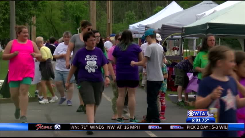 2017 Walk to End Violence_19256257