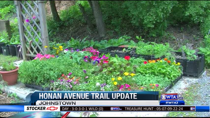 Honan Avenue Trail update