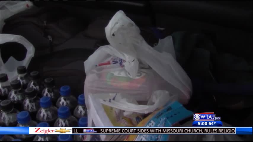 Plastic Bag Protest