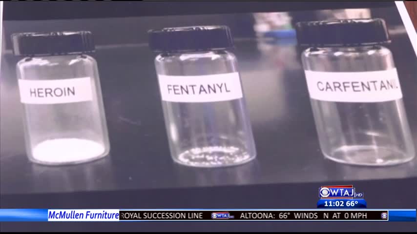 Carfentanil poses new threat in opioid crisis