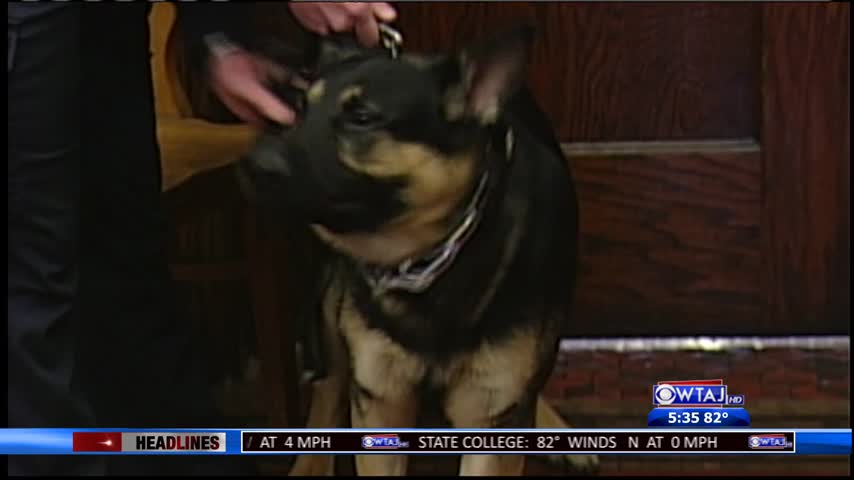 K9 Officer retiring