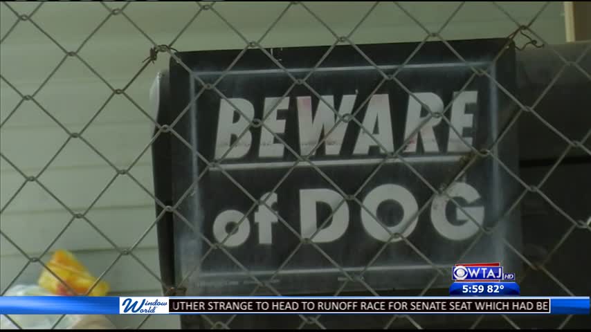 Johnstown dog owner speaks after attack_42080318