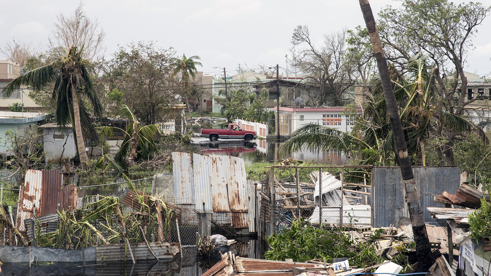 Hurricane Maria destruction in Loiza Puerto Rico-159532.jpg49542411