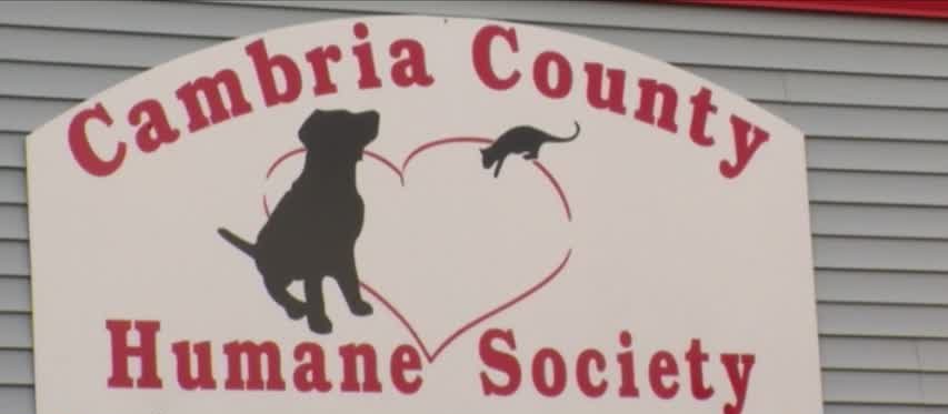 Cambria County Humane Society names new executive director_98016471