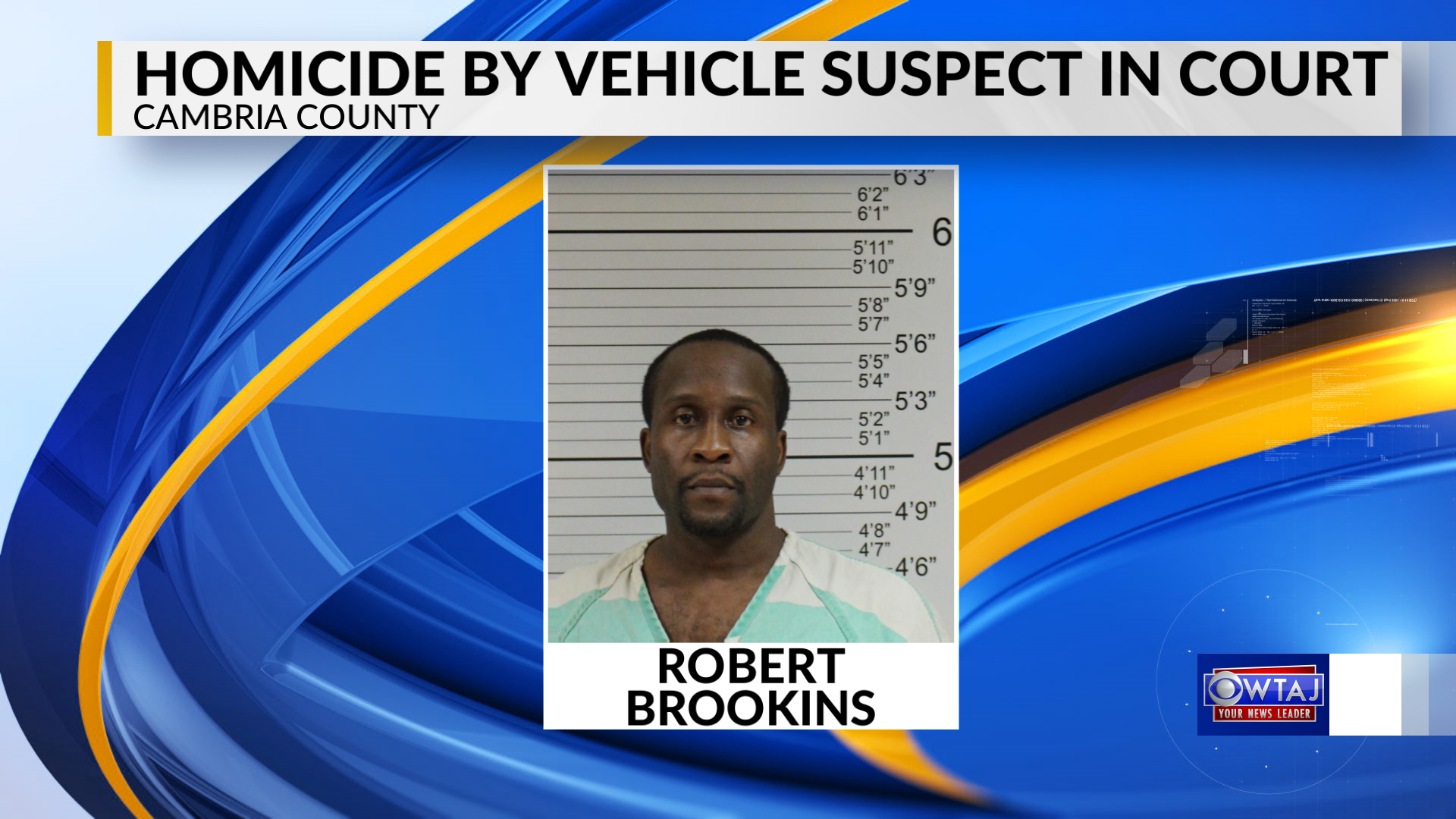 homicide by vehicle in court_1510232266140.png