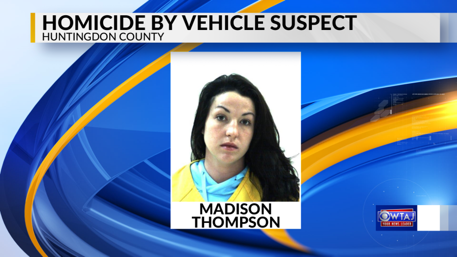 homicide by vehicle in court_1512565562445.png