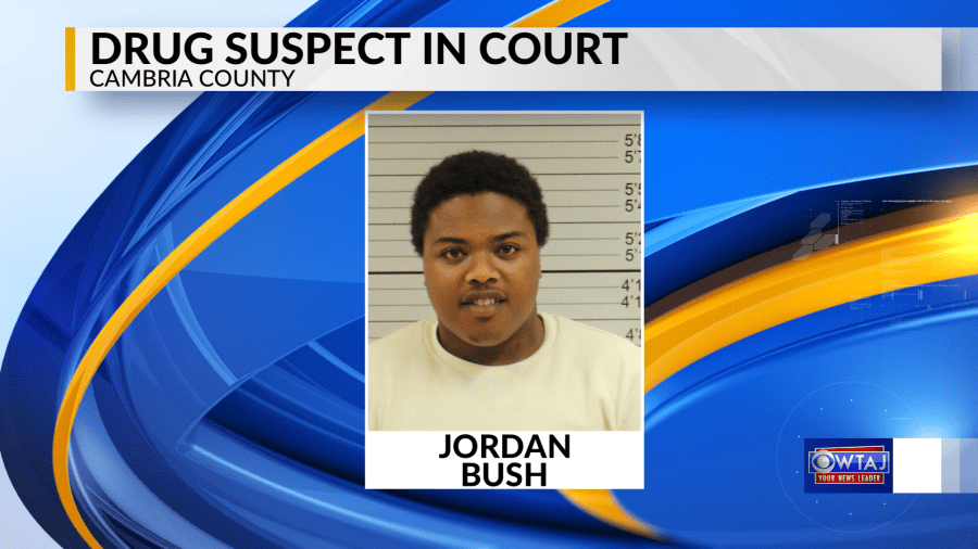 jordan bush in court_1516796233350.png.jpg