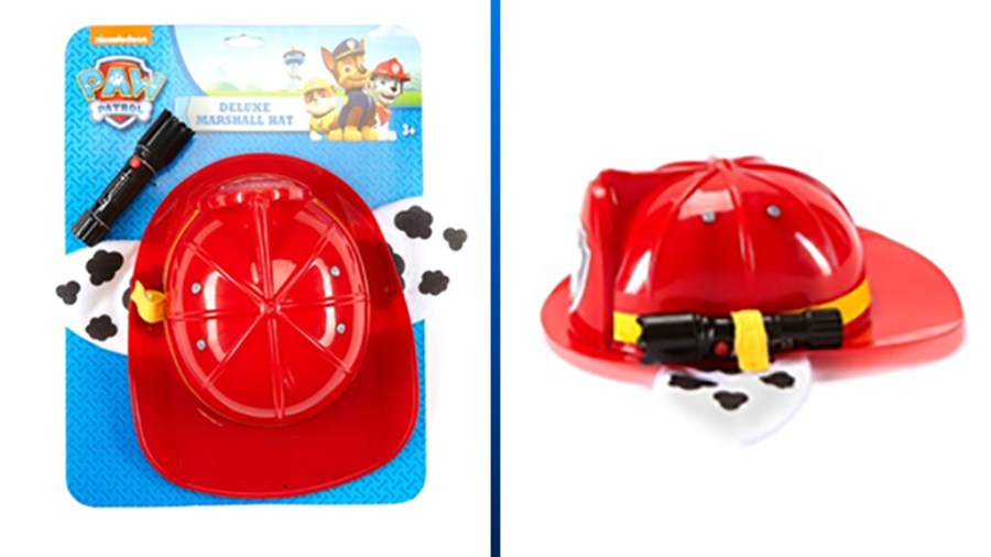 paw-patrol-flashlight-recall_1523255652664.jpg