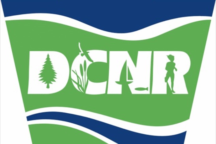 DCNR Logo_-3539022288198219613