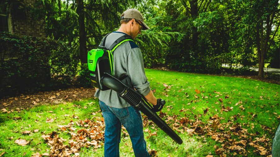 lawn-care-spring-blowing-leaves_1525199436062_366258_ver1_20180502055701-159532