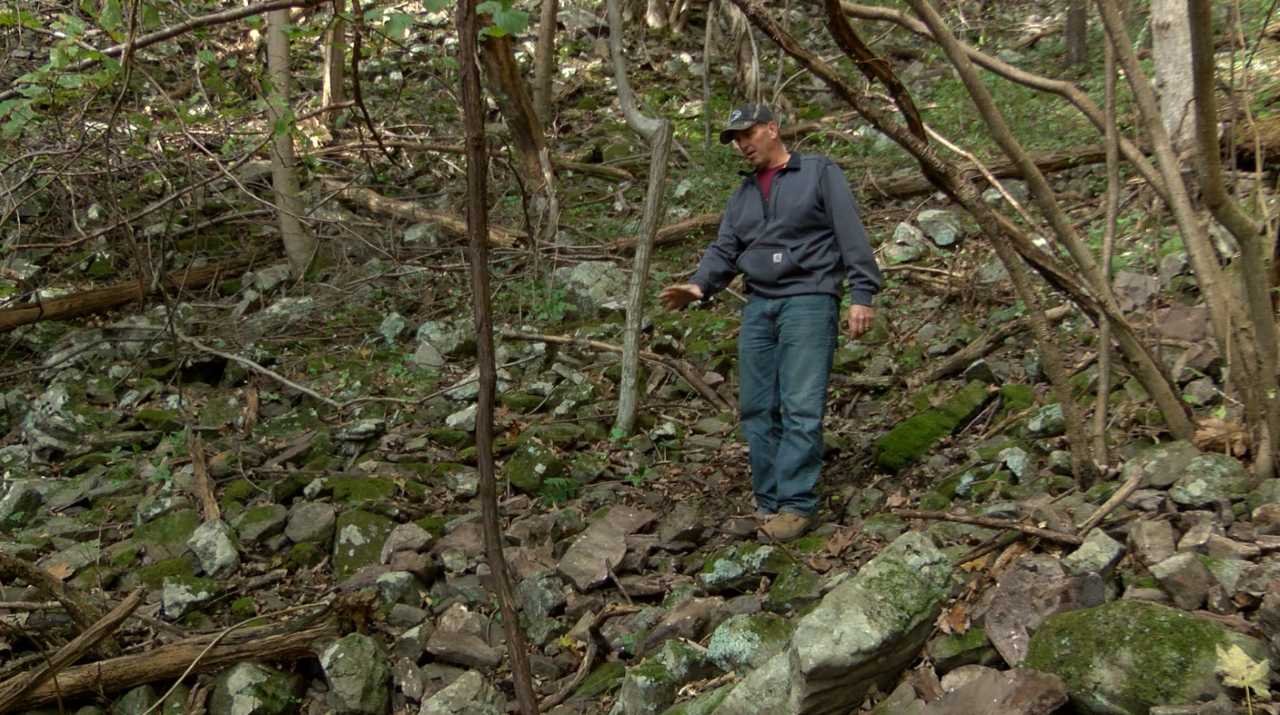 local hunter finds human skull in bedford_1540243910654.jpg.jpg