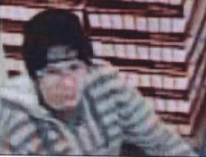 Indiana theft suspect_1543338298806.png.jpg