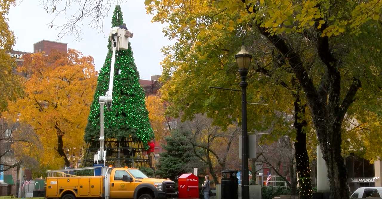 Johnstown Christmas tree in Central Park_1541634985953.jpg.jpg