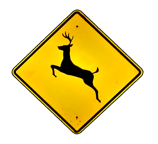 deer_1543628846492.png