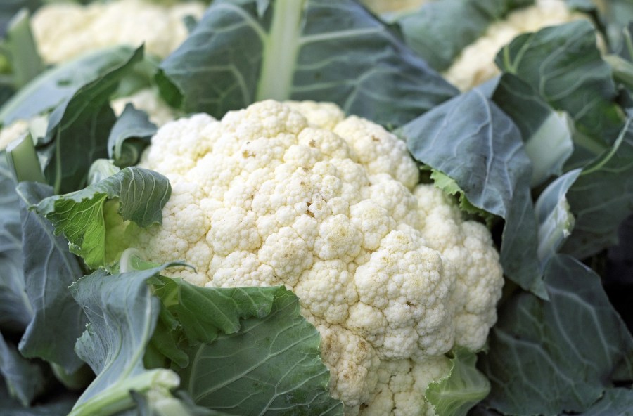 cauliflower-1465732_1920_1545263498531.jpg