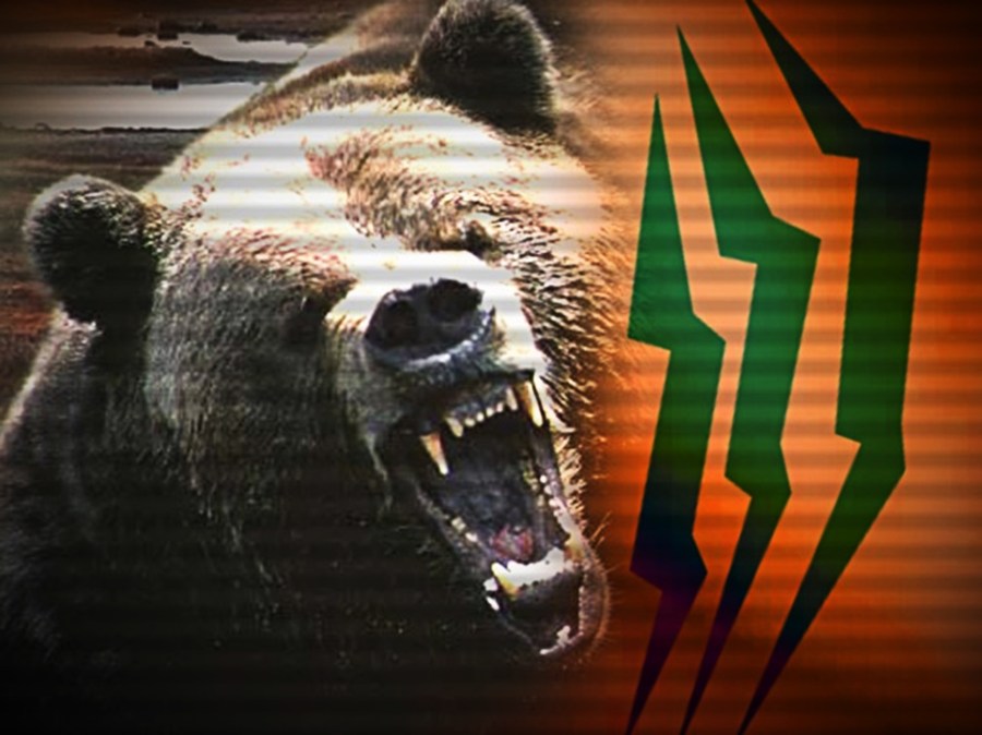 BearAttack_1550087185387.jpg