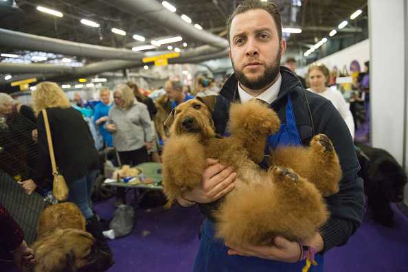 bearded man and furry dog-846653543